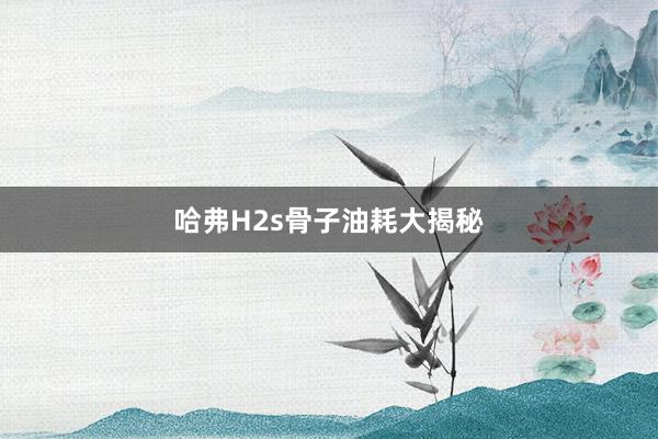 哈弗H2s骨子油耗大揭秘